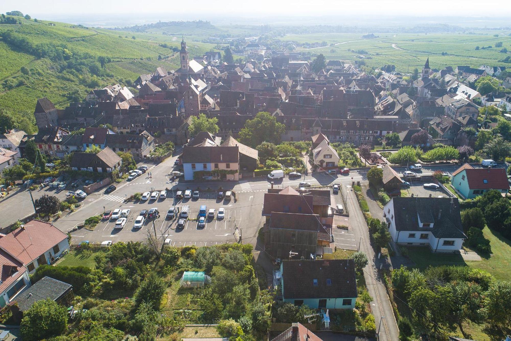 Gewurztraminer - Studio Au Pied Du Vignoble - Renove Recemment - Parking Gratuit Riquewihr Exterior foto